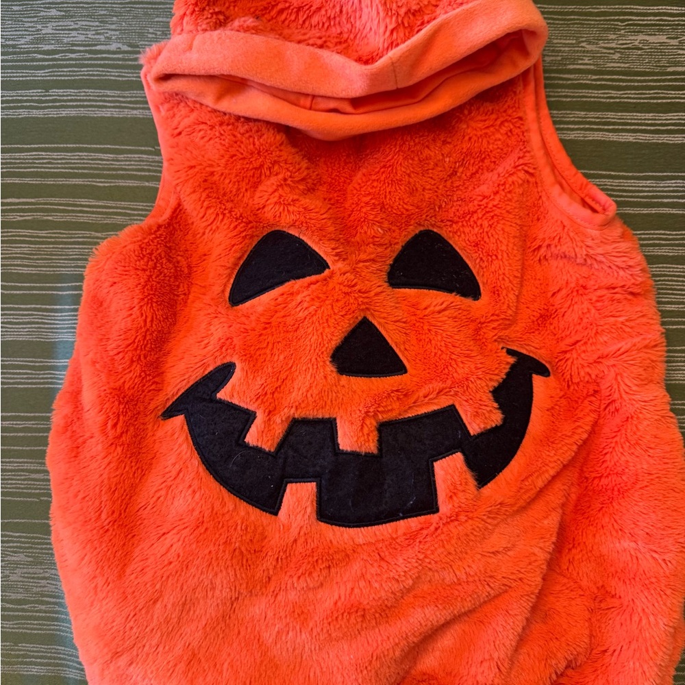 Orange Pumpkin Kids Costume